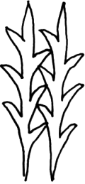 fib-03-01-b07.gif